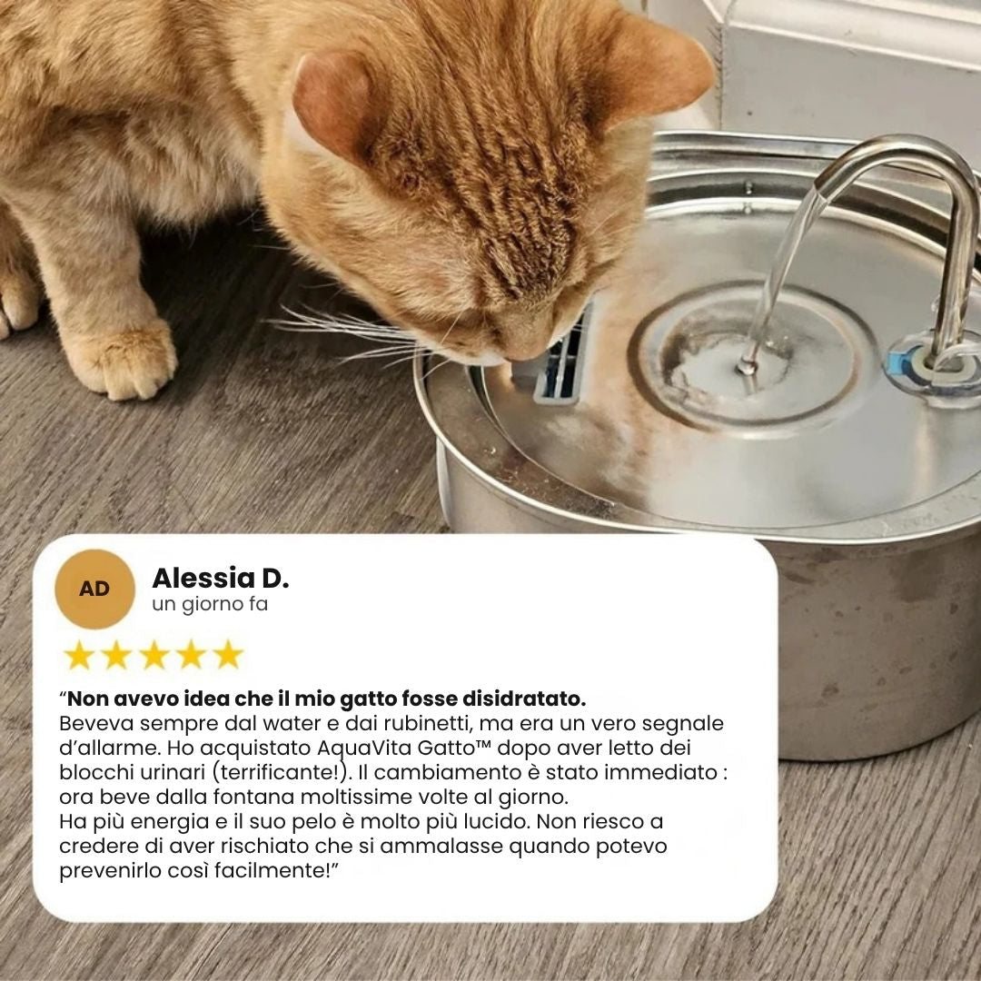 AquaVita Gatto™