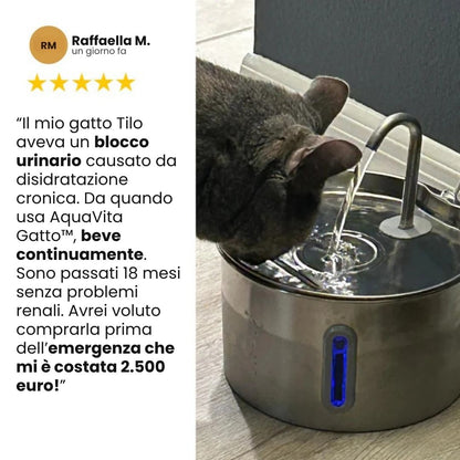 AquaVita Gatto™
