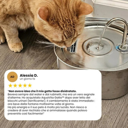 AquaVita Gatto™